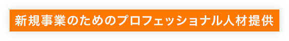 新規事業のためのプロフェッショナル人材提供